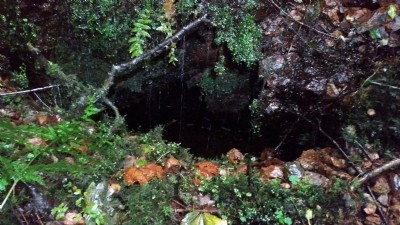 Photographs Of Mill Wood Iron Mine