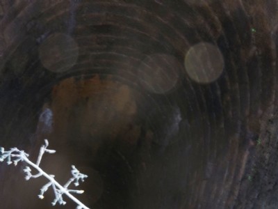 Photographs Of Millclose