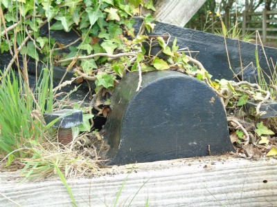 Minera, deterioration at Meadow Shaft.