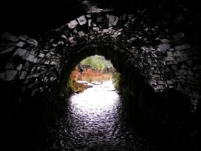 Access tunnel