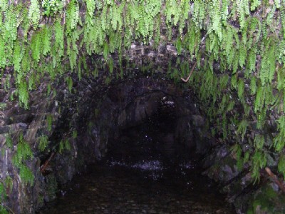 'Hanging gardens'!