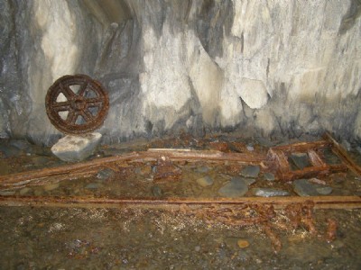 Scant remains of a slab wagon