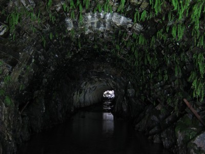 Upper Quarry Adit