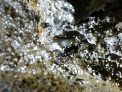 Water drops