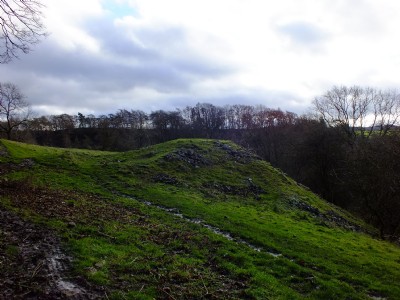 Photographs Of Mire Close Mines