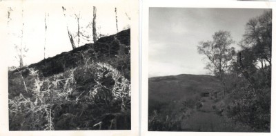 The tracks were removed from this section about 1947