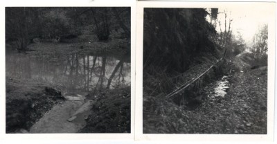 Historic Photographs Of Moel Fferna