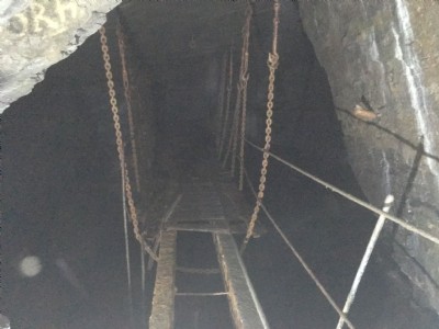 BOD(Bridge of Death)
