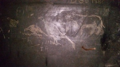 animal drawings