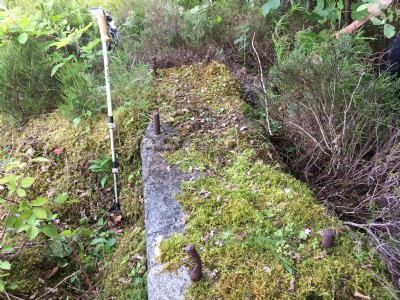 Photographs Of Moel-Y-Gest