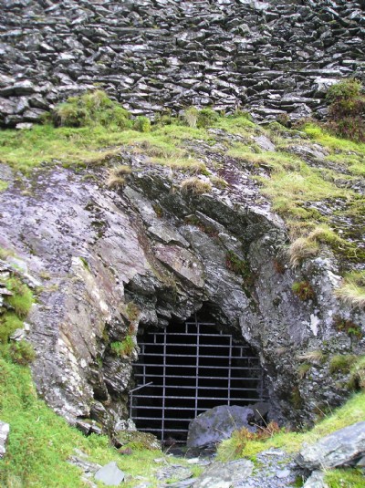 Photographs Of Moelwyn