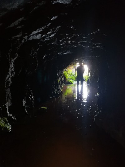 Lower adit