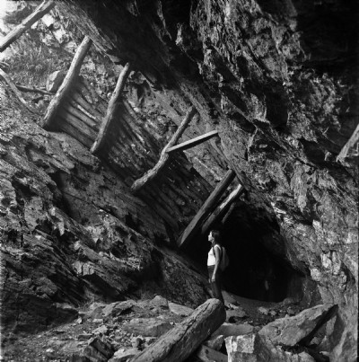 Timber work 1984