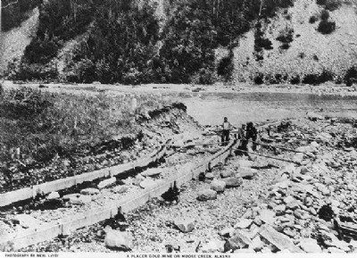 Historic Photographs Of Moose Creek