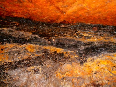 Photographs Of Morse's Level