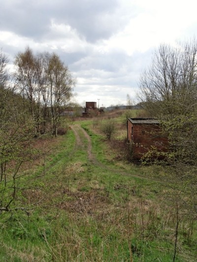Photographs Of Morton