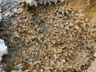 Close-up of dog's tooth calcite on south west wall