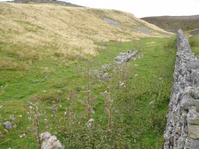 Photographs Of Moulds Low