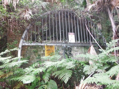 Photographs Of Mount Kembla South