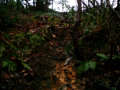 Photographs Of Mount Wellington (Photo ref 46027)