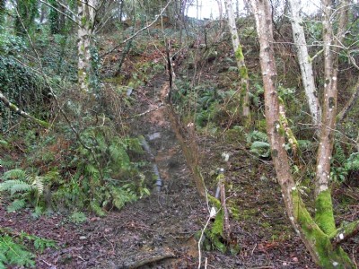 Photographs Of Mount Wellington (Photo ref 46028)