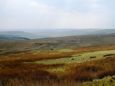 Shafts from a distance