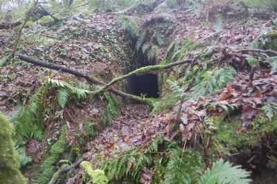 Photographs Of Moylgrove Trial Levels