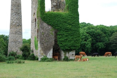 Photographs Of Nancegollan (Photo ref 36725)