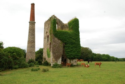 Photographs Of Nancegollan (Photo ref 36727)
