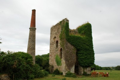 Photographs Of Nancegollan (Photo ref 36729)