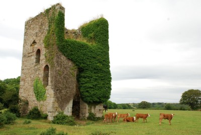 Photographs Of Nancegollan (Photo ref 36730)