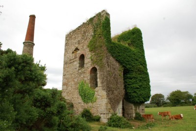 Photographs Of Nancegollan (Photo ref 36731)