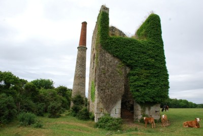Photographs Of Nancegollan (Photo ref 36732)