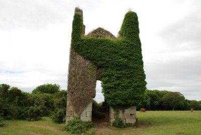 Photographs Of Nancegollan (Photo ref 36742)