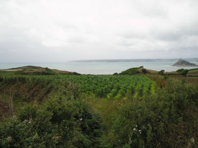 Photographs Of Neptune (Photo ref 53727)