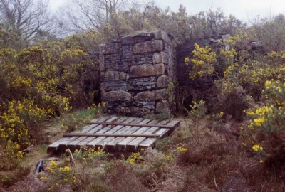 New Consols- Wheal Martha- Remains of Stamps (note cut off lift pump)
