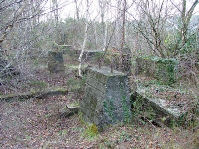 New Consols -Wheal Martha- New Mill 2005
