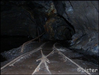 Nant