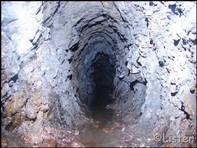 Nant