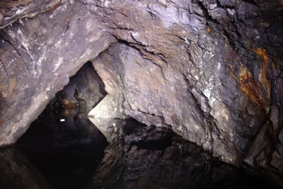 The Swim Chamber