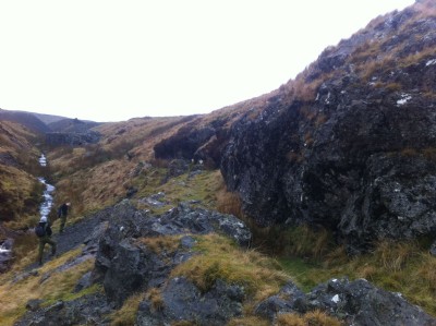 Path way