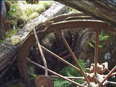 Sheave wheel