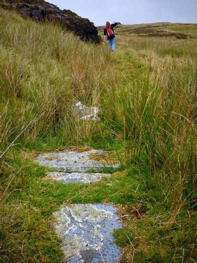 Leat or mule track?