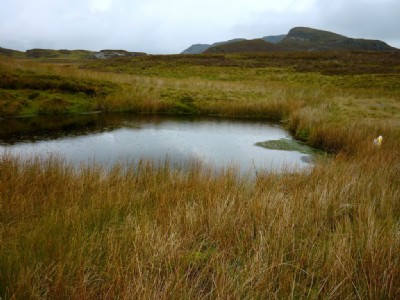 The Pit