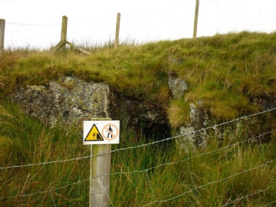 The shaft