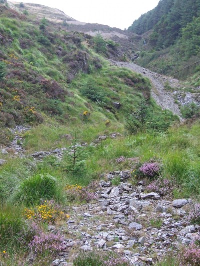 Upper site