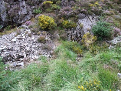 Location of the deep adit
