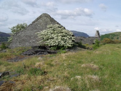 Photographs Of Nantyfron