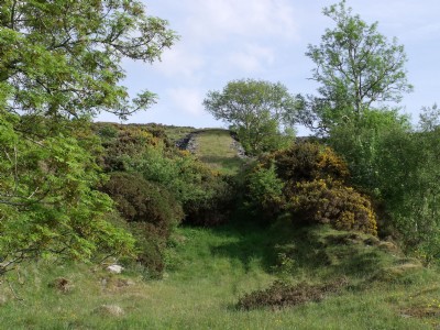 Photographs Of Nantyfron (Photo ref 51965)