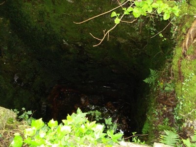 Engine shaft